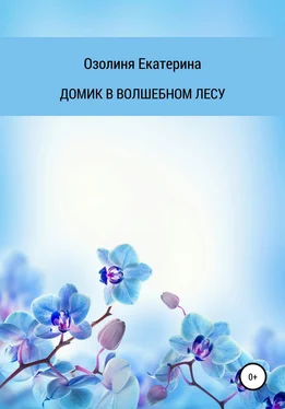 Екатерина Озолиня Домик в волшебном лесу обложка книги