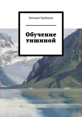 Евгений Трубицин Обучение тишиной обложка книги