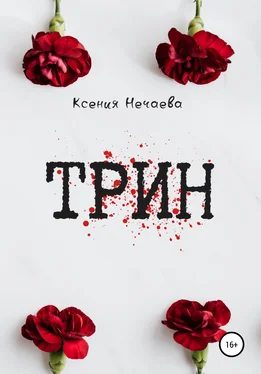 Ксения Нечаева Трин обложка книги
