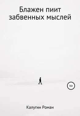 Роман Калугин Блажен пиит забвенных мыслей обложка книги