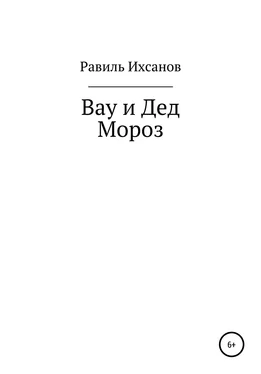 Равиль Ихсанов Вау и Дед Мороз обложка книги