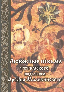 Александр Кузнецов Любовные письма тотемского подьячего Арефы Малевинского обложка книги