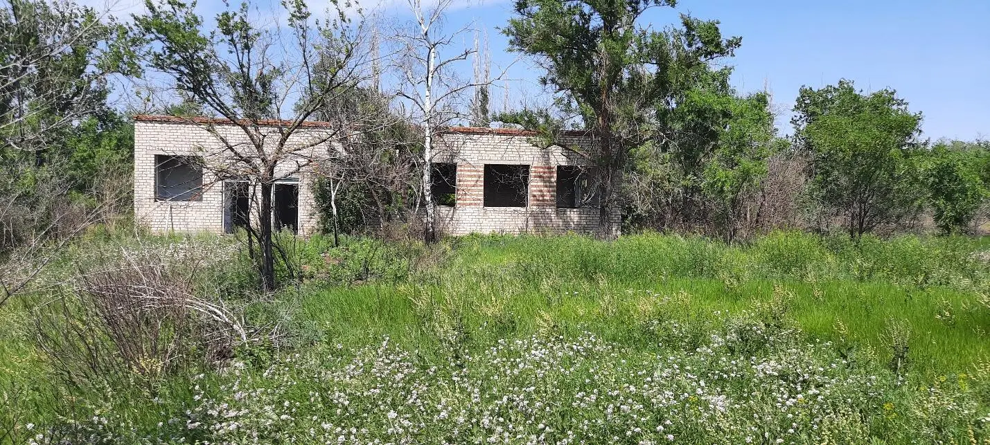 На фото руины совхоза ВолгоДон чтобы посмотреть на работу береславцев но - фото 1