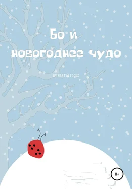 Nastya Focus Бо и новогоднее чудо обложка книги