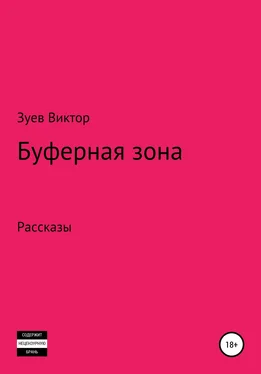 Виктор Зуев Буферная зона обложка книги