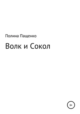 Полина Пащенко Волк и Сокол обложка книги