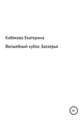 Екатерина Кобякова - Волшебный кубок Заозерья