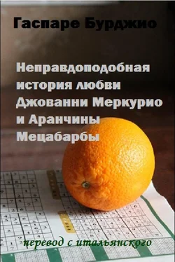 Гаспаре Бурджио Неправдоподобная история любви Джованни Меркурио и Аранчины Мецабарбы обложка книги