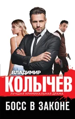 Владимир Колычев - Босс в законе