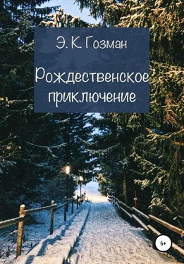 Э. К. Гозман Рождественское приключение обложка книги