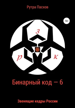 Рутра Пасхов Бинарный код – 6. Звенящие кедры России обложка книги
