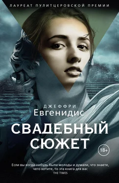 Джеффри Евгенидис Свадебный сюжет обложка книги