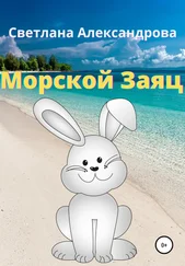 Светлана Александрова - Морской Заяц