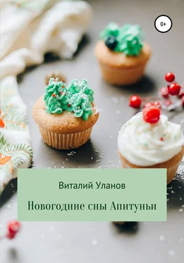 Виталий Уланов Новогодние сны Апитуньи обложка книги