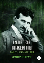 Дмитрий Крук - Никола Тесла. Пробуждение силы. Выйти из матрицы