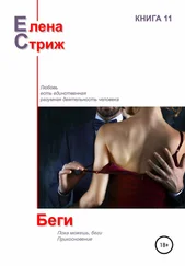 Елена Стриж - Беги