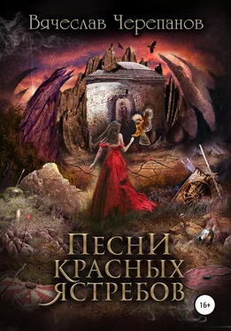 Вячеслав Черепанов Песни Красных Ястребов обложка книги