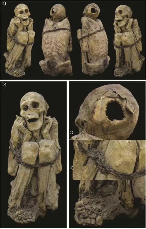 Figure 43 Current state of the mummy MNHNHA30187 a General photographs - фото 9