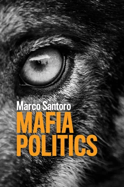 Marco Santoro Mafia Politics обложка книги