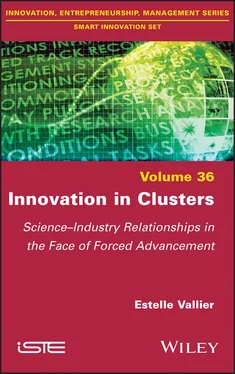 Estelle Vallier Innovation in Clusters обложка книги