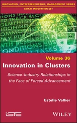 Estelle Vallier - Innovation in Clusters