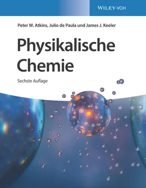 Peter W. Atkins Physikalische Chemie обложка книги