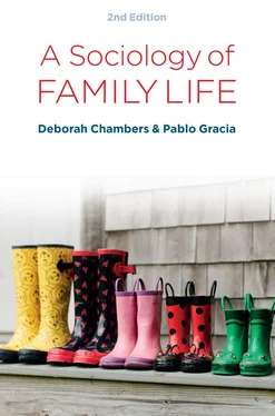 Deborah Chambers A Sociology of Family Life обложка книги