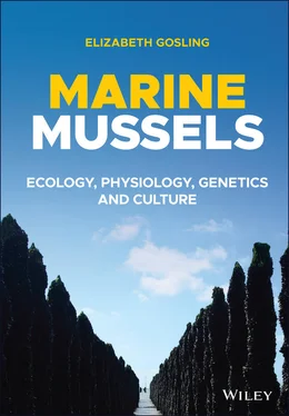 Elizabeth Gosling Marine Mussels обложка книги