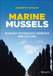 Elizabeth Gosling - Marine Mussels