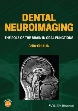 Chia-shu Lin Dental Neuroimaging обложка книги