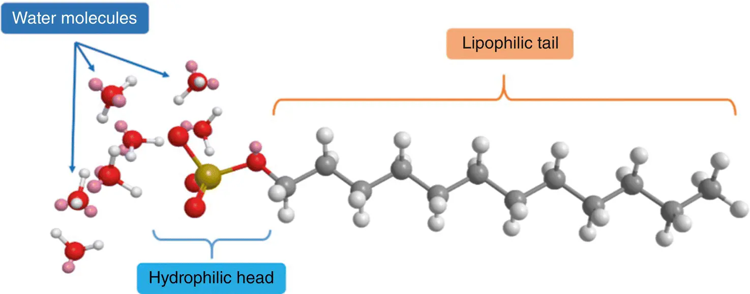 Figure 21 3D chemical structure of lauryl sulfate as an example of a - фото 4