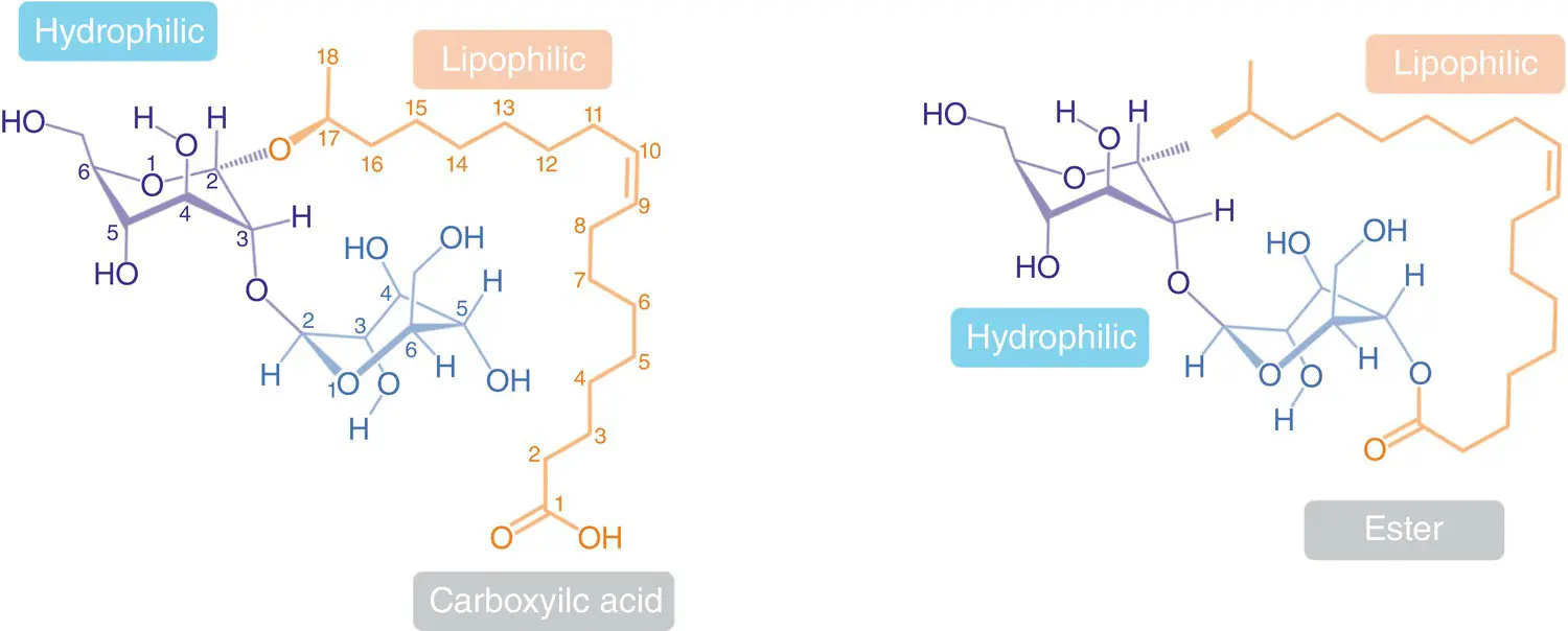 Figure 22 Chemical structures for two species of sophorolipids as a result of - фото 5