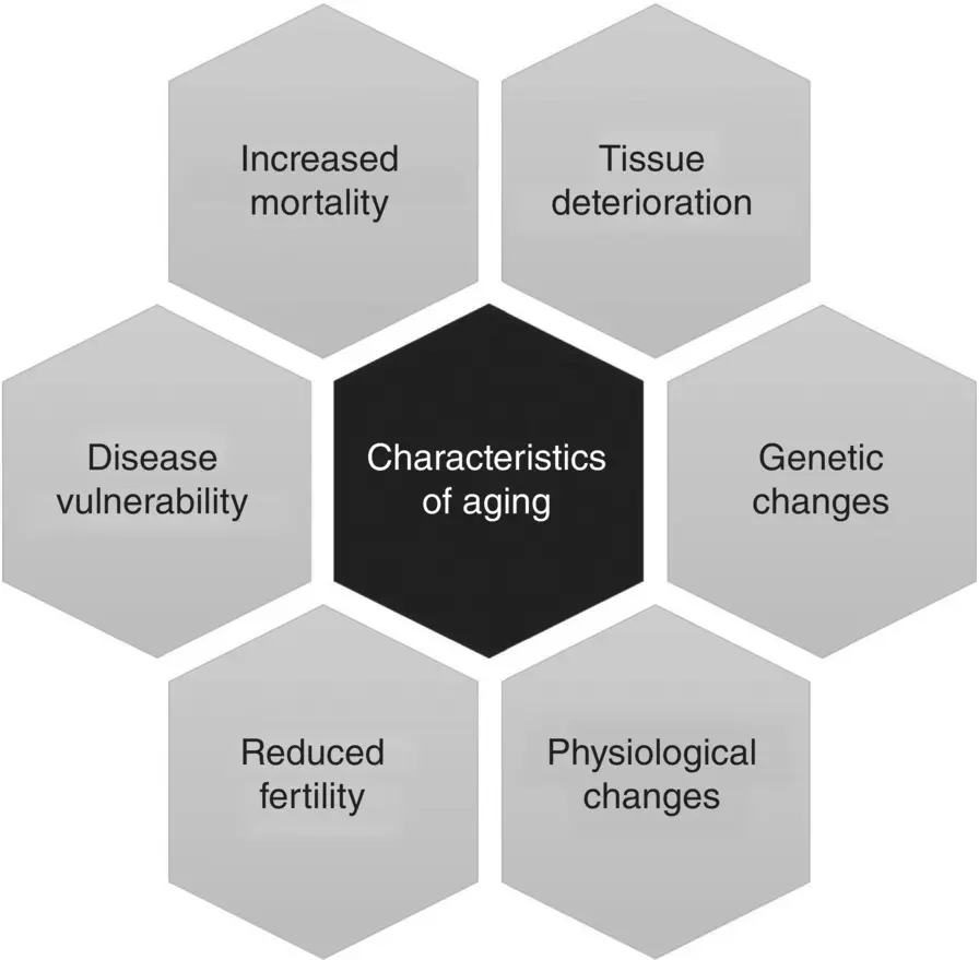 Figure 41 Summary of various characteristics of aging It is evident that skin - фото 25
