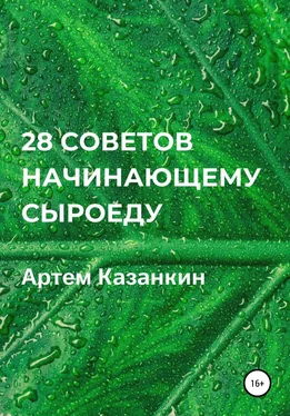 Артем Казанкин 28 советов начинающему сыроеду обложка книги