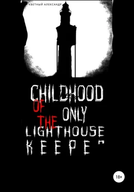 Александр Кветный Childhood of the only lighthouse keeper обложка книги