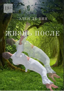 Элен Де Вин Жизнь после обложка книги