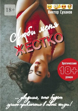 Виктор Суханов Люби меня жестко обложка книги