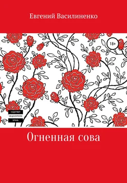 Евгений Василиненко Огненная сова обложка книги