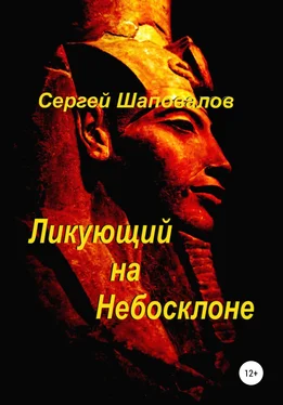Сергей Шаповалов Ликующий на небосклоне обложка книги