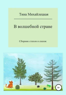 Тина Михайлецкая В волшебной стране. Сборник стихов и сказок обложка книги