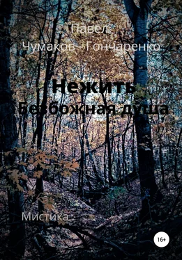 Павел Чумаков-Гончаренко Нежить. Безбожная душа обложка книги