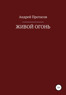 Андрей Протасов Живой огонь обложка книги