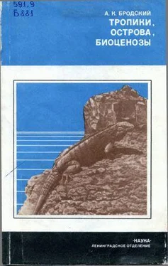 Андрей Бродский Тропики, острова, биоценозы (Животный мир Кубы) обложка книги