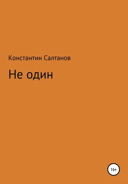 Константин Салтанов Не один обложка книги