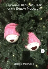 Даниил Мантуров - Снежный плен, или Как стать Дедом Морозом