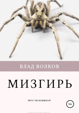 Влад Волков Мизгирь обложка книги