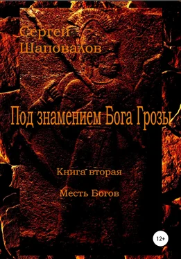 Сергей Шаповалов Под знамением Бога Грозы. Книга вторая. Месть Богов обложка книги