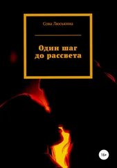 Сова Люськина - Один шаг до рассвета