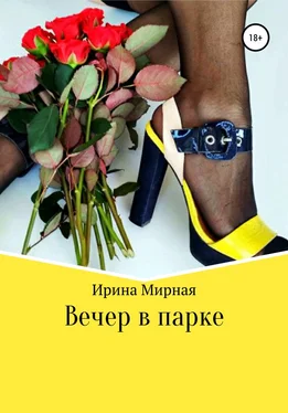 Ирина Мирная Вечер в парке обложка книги