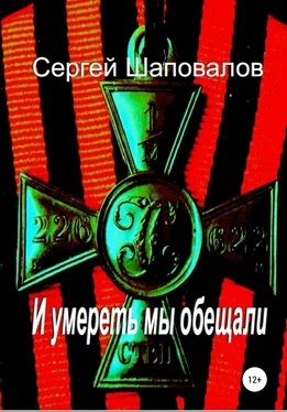 Сергей Шаповалов И умереть мы обещали обложка книги